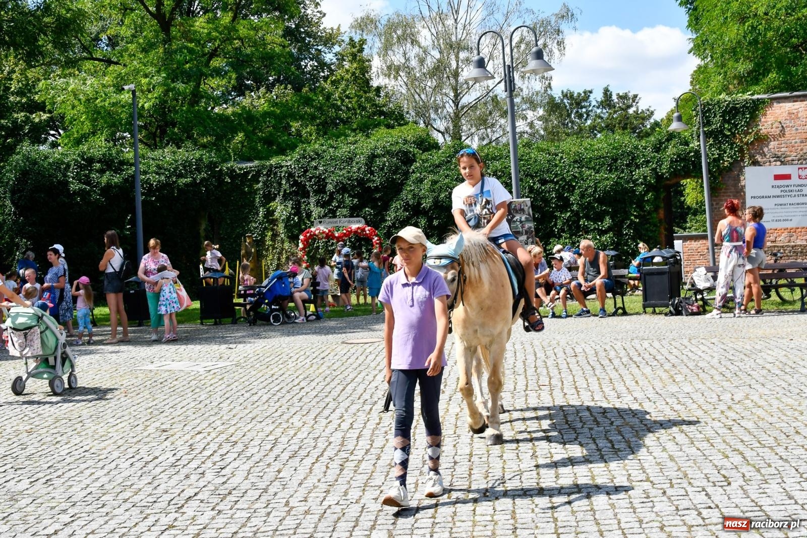 Zdjęcie w galerii na portalu naszraciborz.pl: Zamkowe wakacje w siodle z coraz wyższą frekwencją wiadomości z regionu
