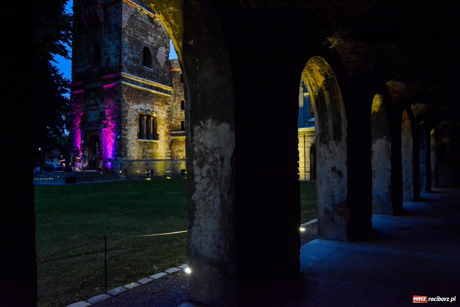 Zdjęcie w galerii na portalu naszraciborz.pl: Artystyczno-muzyczny wieczór w Tworkowie wiadomości z regionu