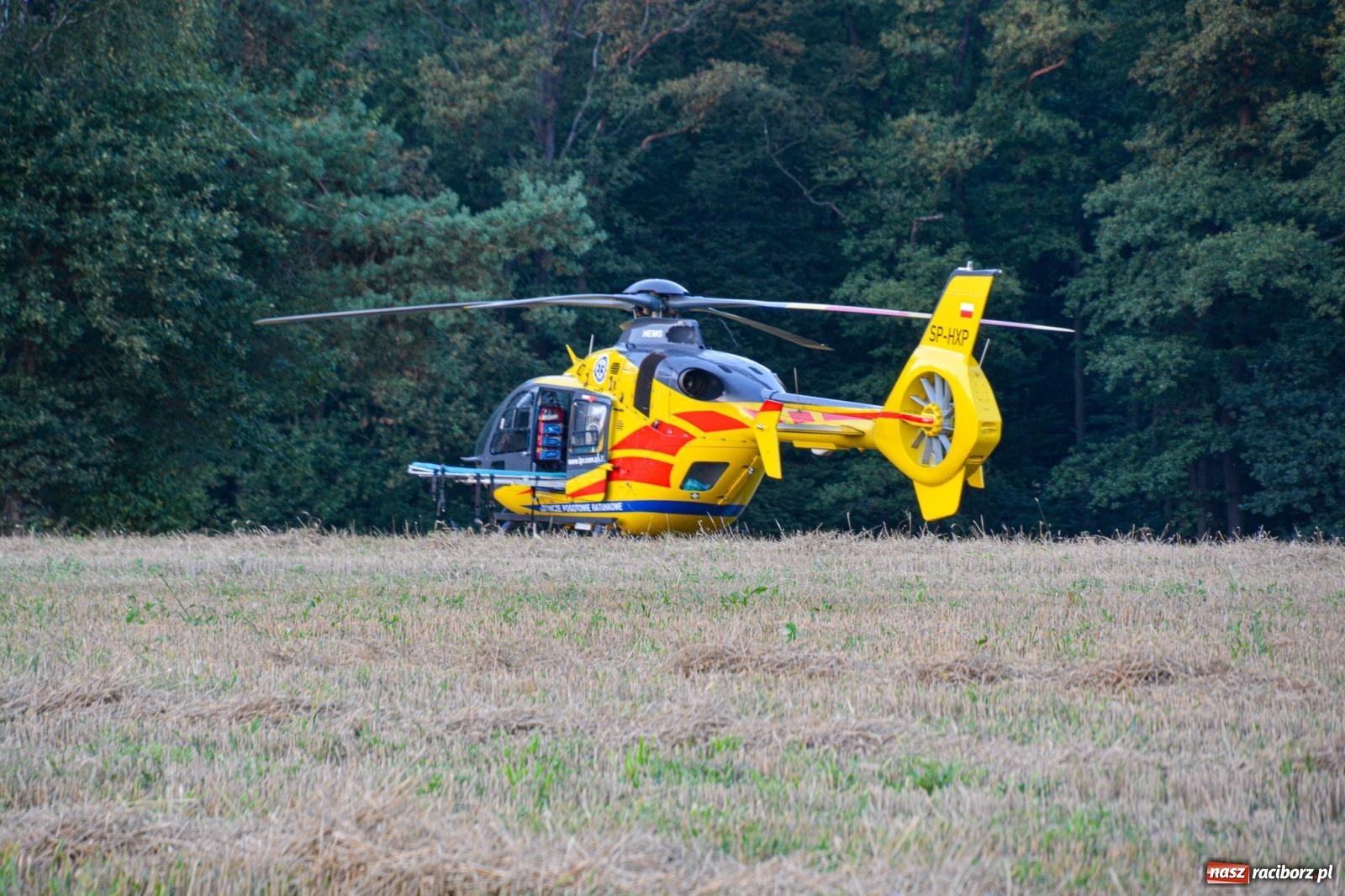 Zdjęcie w galerii na portalu naszraciborz.pl: Wypadek na drodze wojewódzkiej 919 Racibórz Rudy - siedem osób poszkodowanych wiadomości z regionu