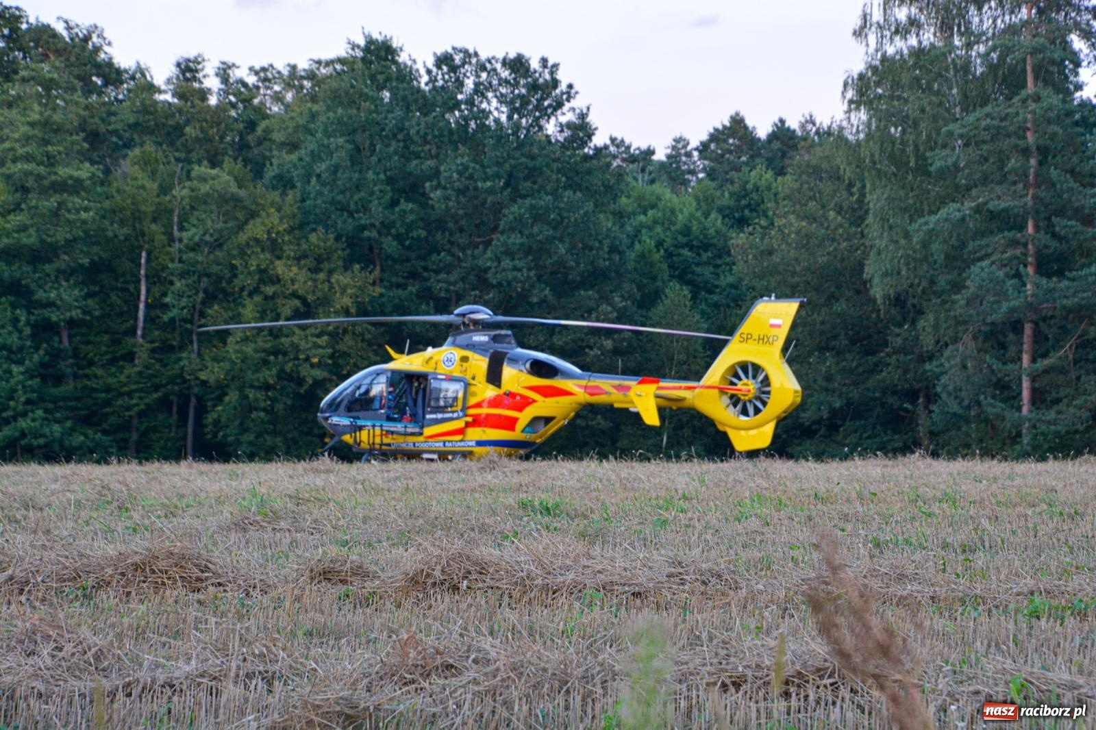 Zdjęcie w galerii na portalu naszraciborz.pl: Wypadek na drodze wojewódzkiej 919 Racibórz Rudy - siedem osób poszkodowanych wiadomości z regionu