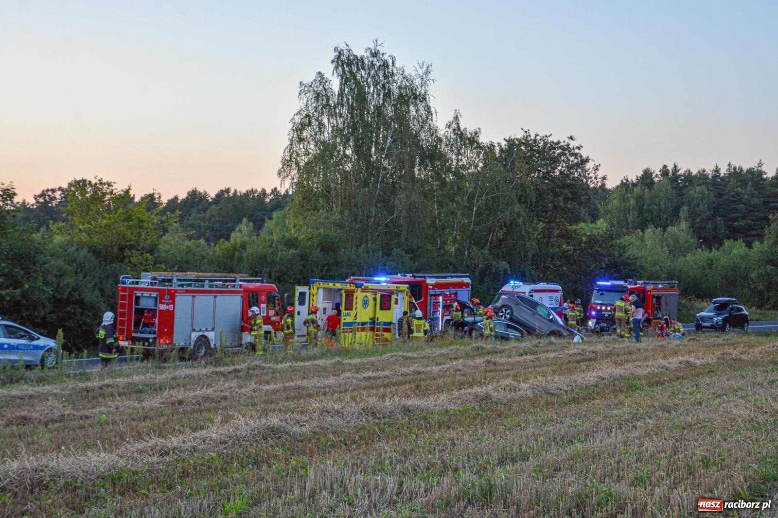 Zdjęcie w galerii na portalu naszraciborz.pl: Wypadek na drodze wojewódzkiej 919 Racibórz Rudy - siedem osób poszkodowanych wiadomości z regionu
