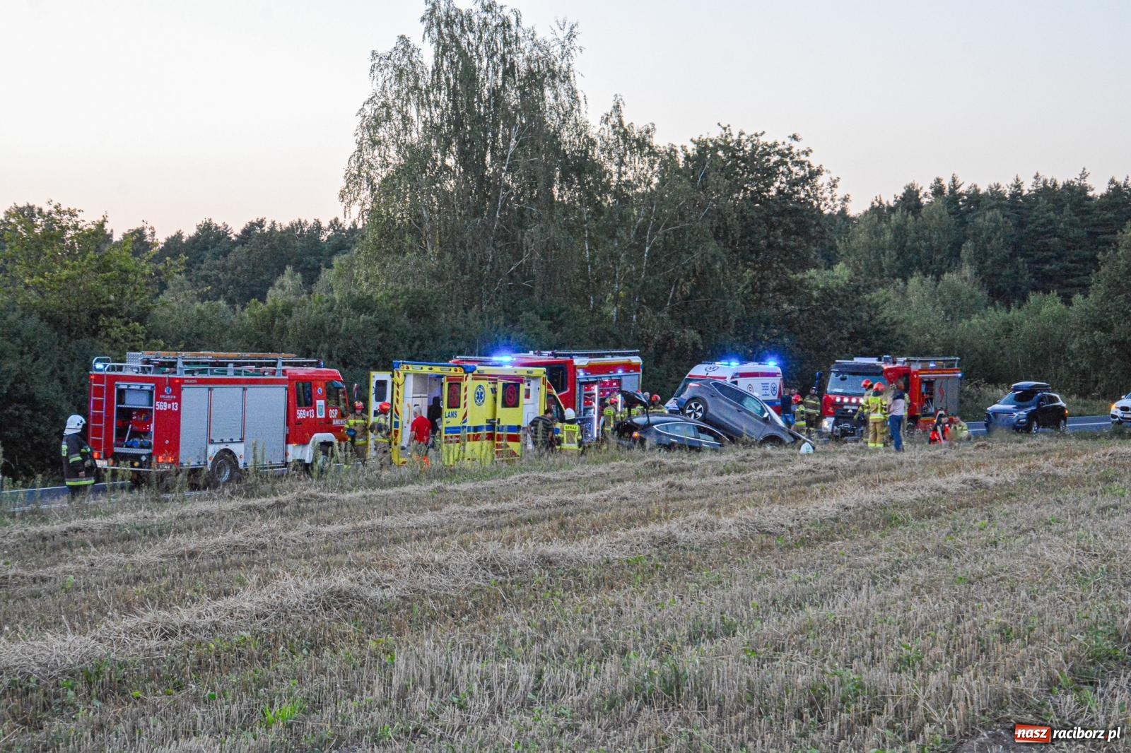Zdjęcie w galerii na portalu naszraciborz.pl: Wypadek na drodze wojewódzkiej 919 Racibórz Rudy - siedem osób poszkodowanych wiadomości z regionu