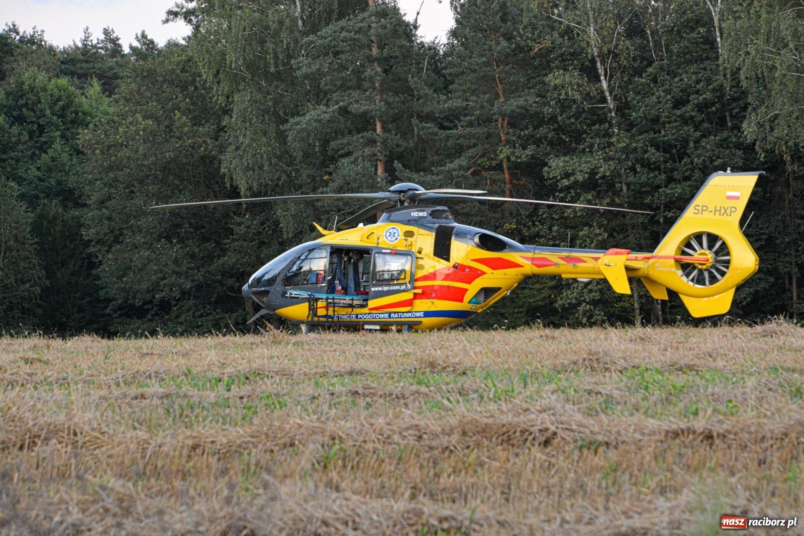 Zdjęcie w galerii na portalu naszraciborz.pl: Wypadek na drodze wojewódzkiej 919 Racibórz Rudy - siedem osób poszkodowanych wiadomości z regionu