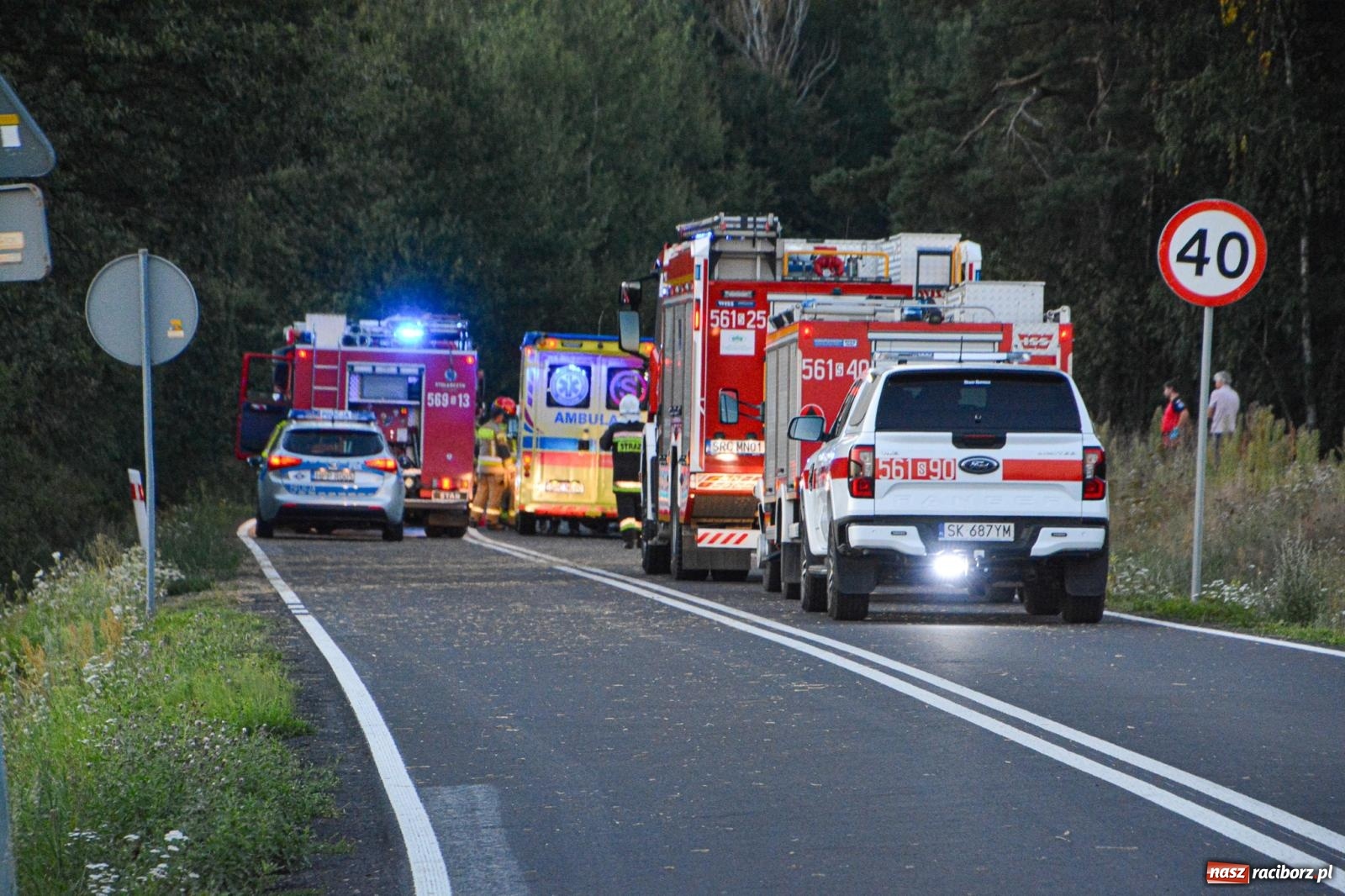 Zdjęcie w galerii na portalu naszraciborz.pl: Wypadek na drodze wojewódzkiej 919 Racibórz Rudy - siedem osób poszkodowanych wiadomości z regionu