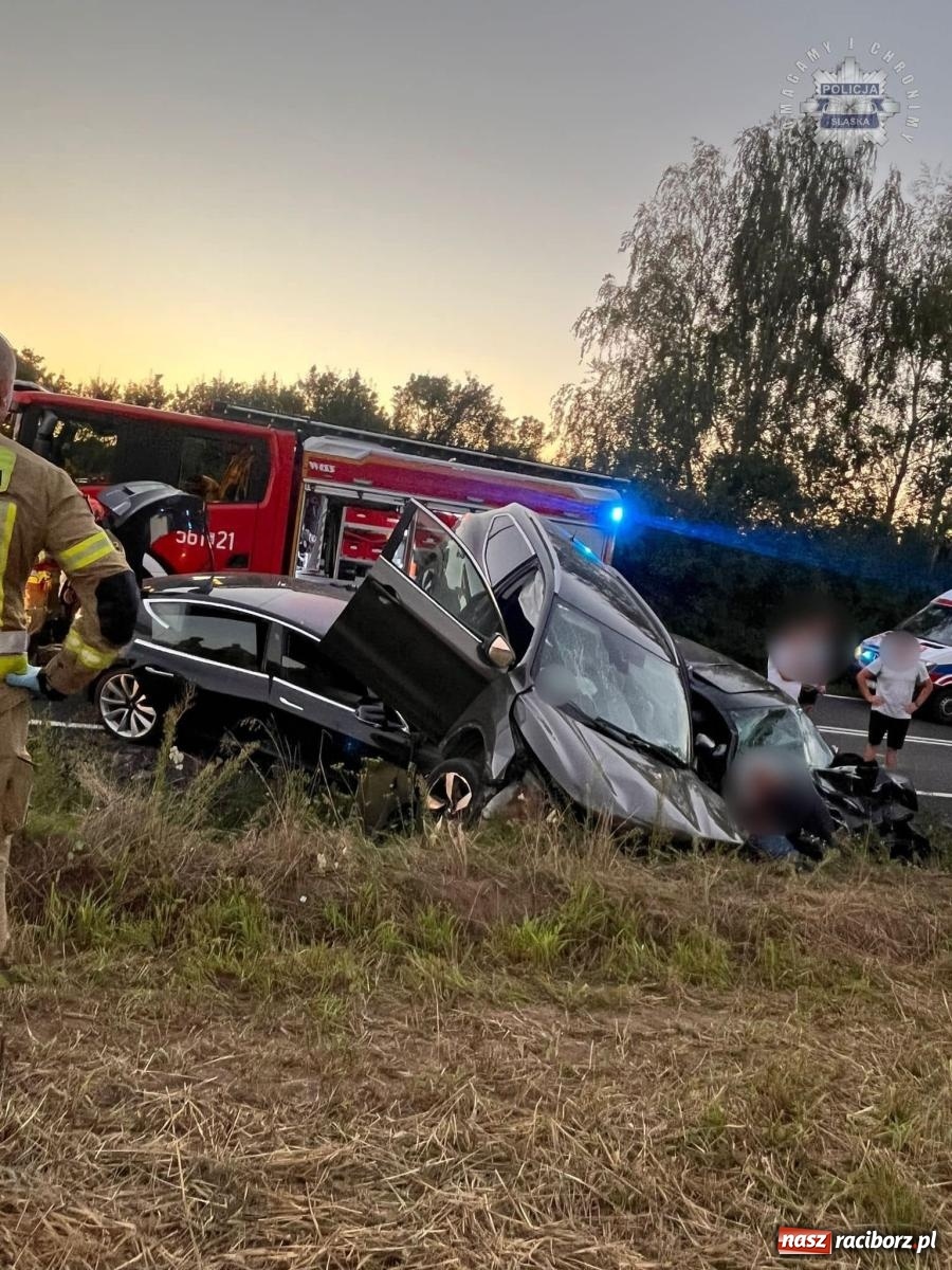 Zdjęcie w galerii na portalu naszraciborz.pl: Wypadek na drodze wojewódzkiej 919 Racibórz Rudy - siedem osób poszkodowanych wiadomości z regionu
