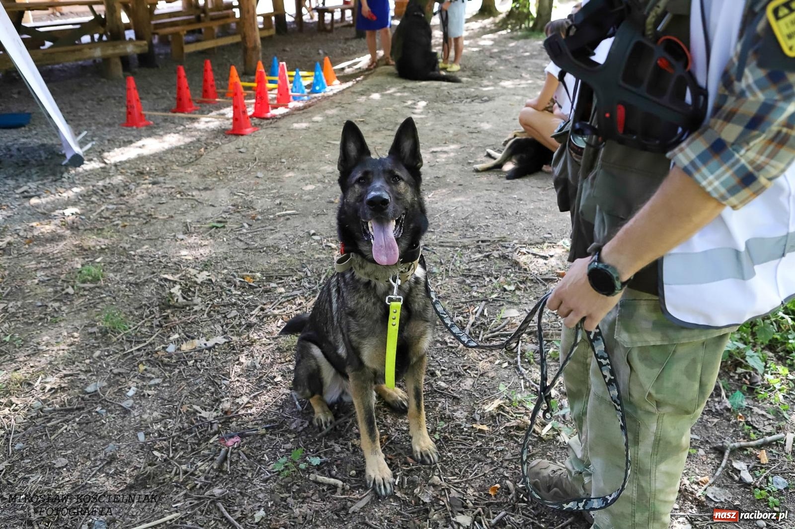 Zdjęcie w galerii na portalu naszraciborz.pl: Psi Gród. Miłośnicy czworonogów spotkali się w średniowiecznej scenerii wiadomości z regionu