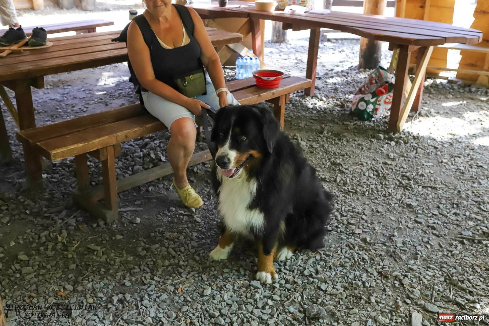 Zdjęcie w galerii na portalu naszraciborz.pl: Psi Gród. Miłośnicy czworonogów spotkali się w średniowiecznej scenerii wiadomości z regionu