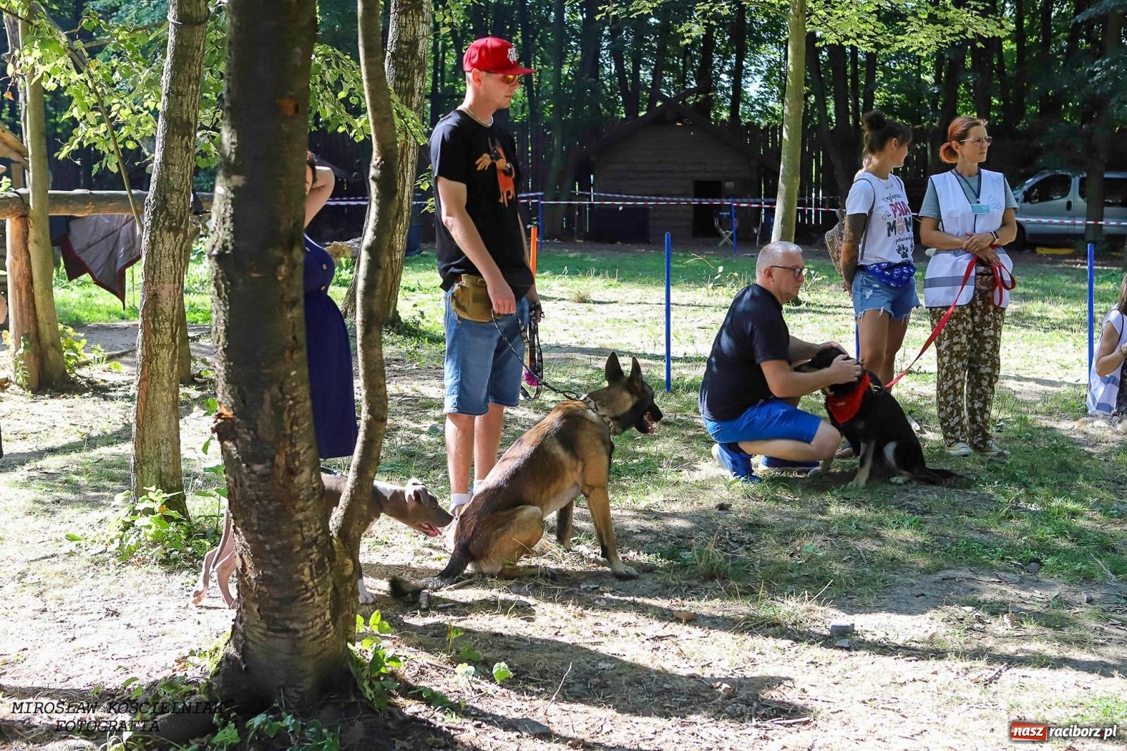 Zdjęcie w galerii na portalu naszraciborz.pl: Psi Gród. Miłośnicy czworonogów spotkali się w średniowiecznej scenerii wiadomości z regionu