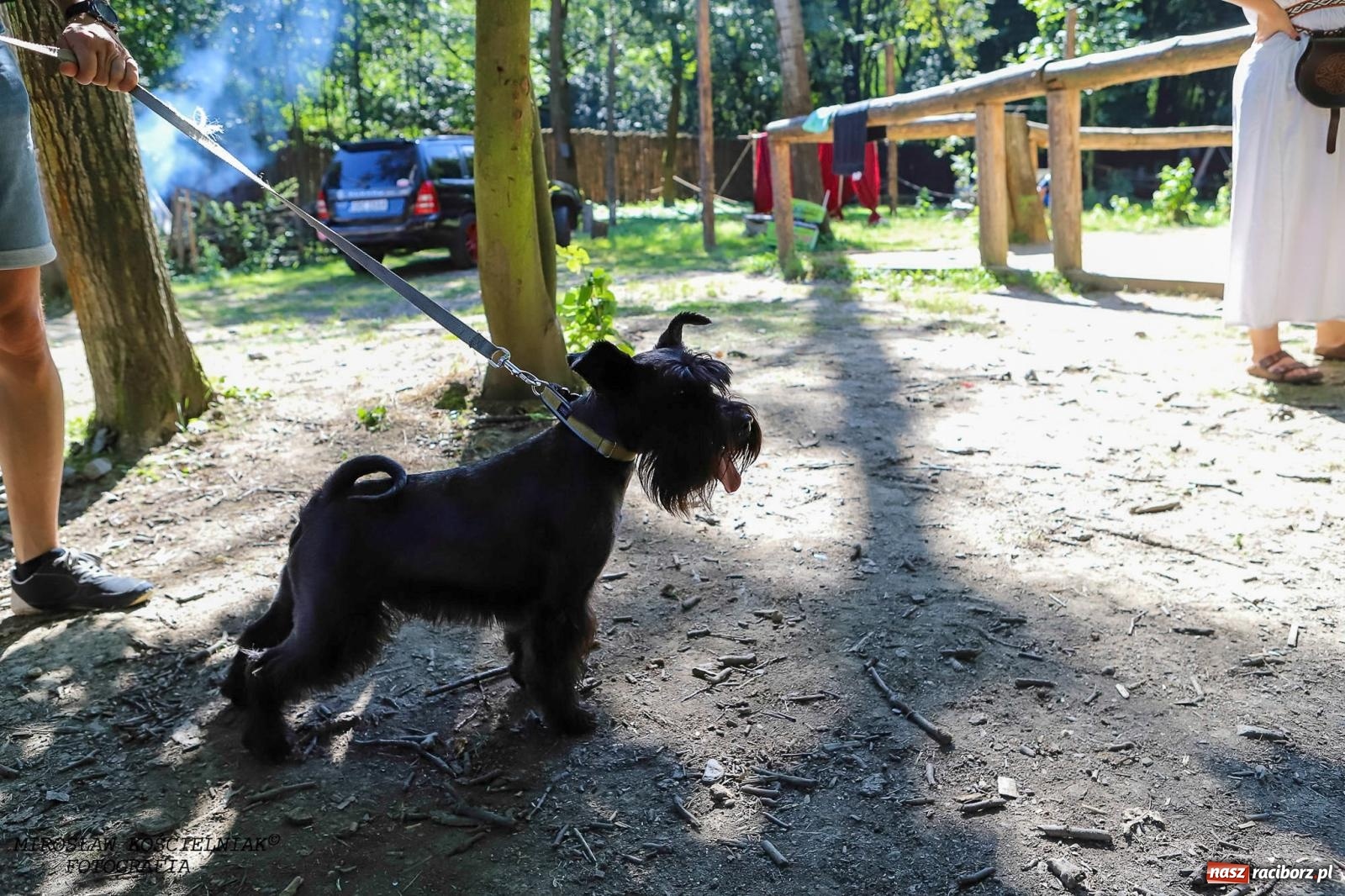 Zdjęcie w galerii na portalu naszraciborz.pl: Psi Gród. Miłośnicy czworonogów spotkali się w średniowiecznej scenerii wiadomości z regionu