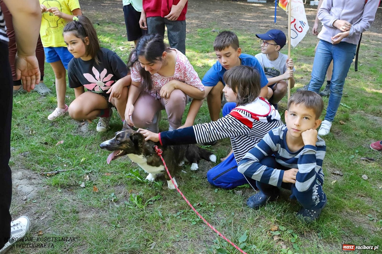 Zdjęcie w galerii na portalu naszraciborz.pl: Psi Gród. Miłośnicy czworonogów spotkali się w średniowiecznej scenerii wiadomości z regionu