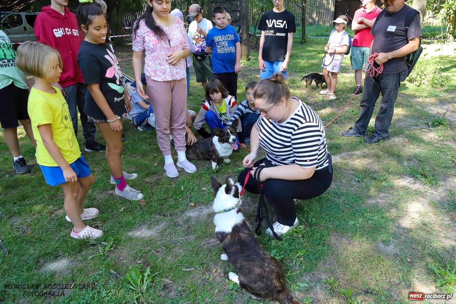Zdjęcie w galerii na portalu naszraciborz.pl: Psi Gród. Miłośnicy czworonogów spotkali się w średniowiecznej scenerii wiadomości z regionu