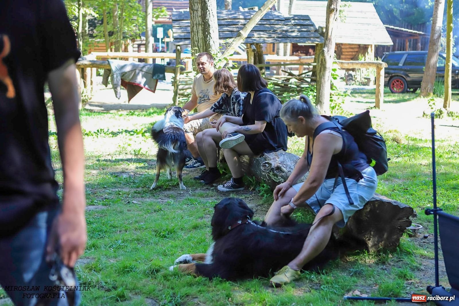 Zdjęcie w galerii na portalu naszraciborz.pl: Psi Gród. Miłośnicy czworonogów spotkali się w średniowiecznej scenerii wiadomości z regionu