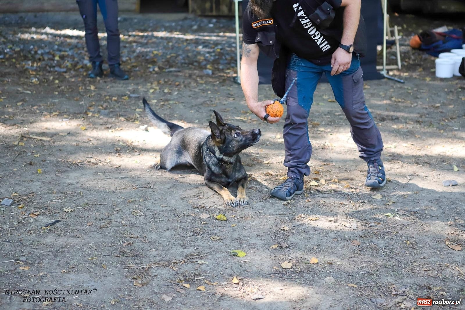 Zdjęcie w galerii na portalu naszraciborz.pl: Psi Gród. Miłośnicy czworonogów spotkali się w średniowiecznej scenerii wiadomości z regionu