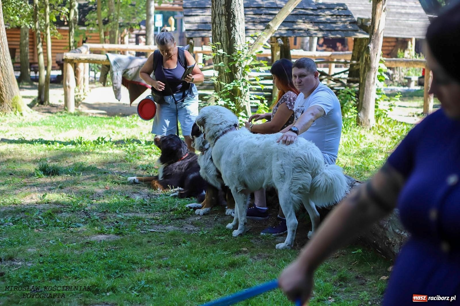 Zdjęcie w galerii na portalu naszraciborz.pl: Psi Gród. Miłośnicy czworonogów spotkali się w średniowiecznej scenerii wiadomości z regionu
