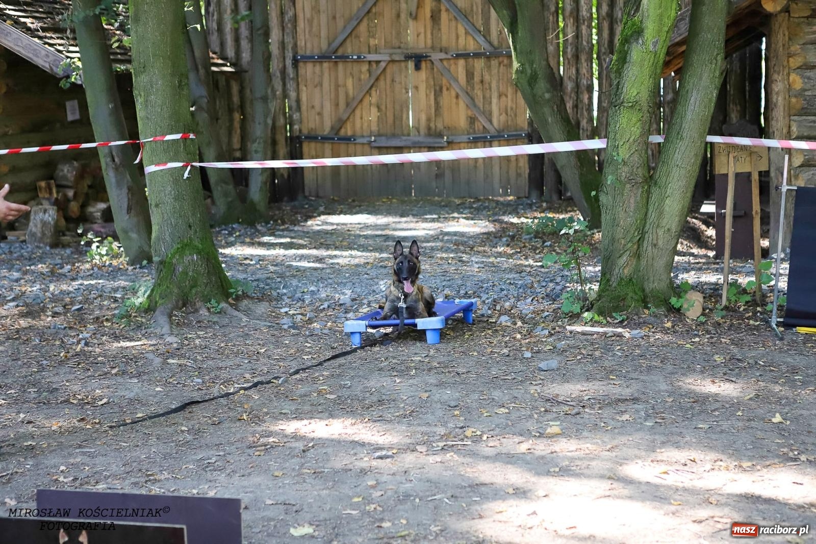 Zdjęcie w galerii na portalu naszraciborz.pl: Psi Gród. Miłośnicy czworonogów spotkali się w średniowiecznej scenerii wiadomości z regionu