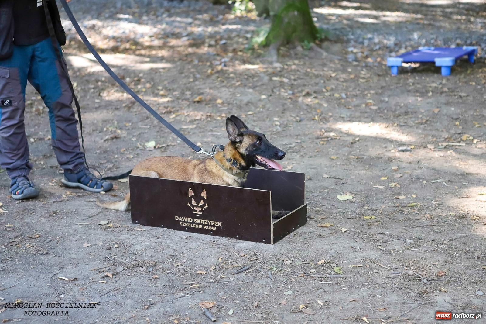 Zdjęcie w galerii na portalu naszraciborz.pl: Psi Gród. Miłośnicy czworonogów spotkali się w średniowiecznej scenerii wiadomości z regionu