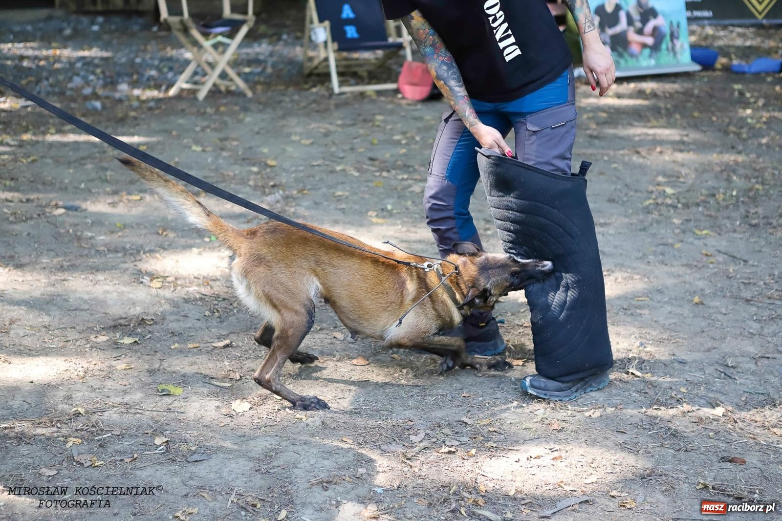 Zdjęcie w galerii na portalu naszraciborz.pl: Psi Gród. Miłośnicy czworonogów spotkali się w średniowiecznej scenerii wiadomości z regionu