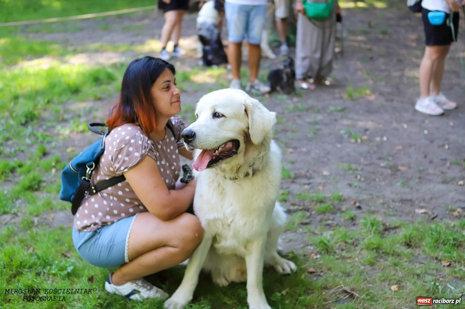 Zdjęcie w galerii na portalu naszraciborz.pl: Psi Gród. Miłośnicy czworonogów spotkali się w średniowiecznej scenerii wiadomości z regionu