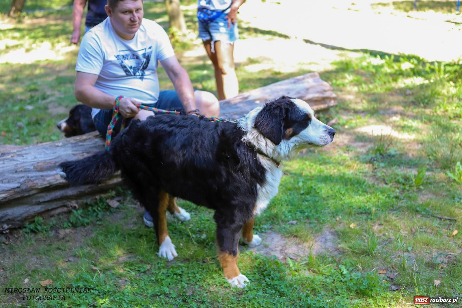 Zdjęcie w galerii na portalu naszraciborz.pl: Psi Gród. Miłośnicy czworonogów spotkali się w średniowiecznej scenerii wiadomości z regionu