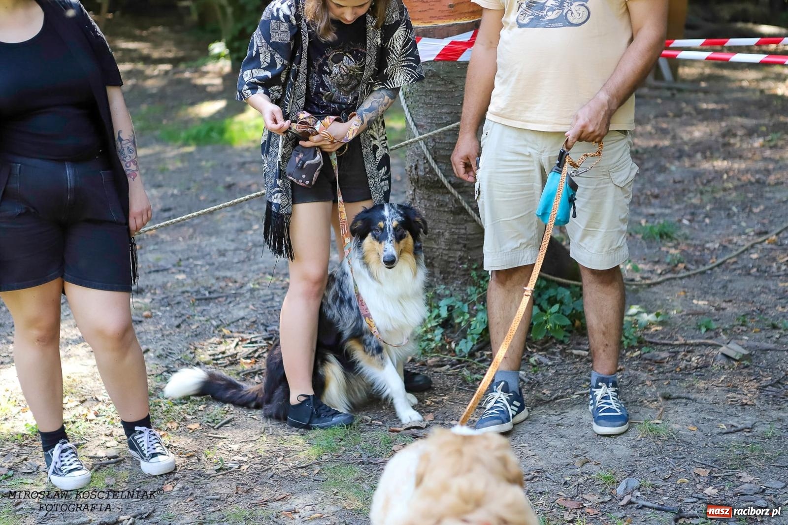 Zdjęcie w galerii na portalu naszraciborz.pl: Psi Gród. Miłośnicy czworonogów spotkali się w średniowiecznej scenerii wiadomości z regionu