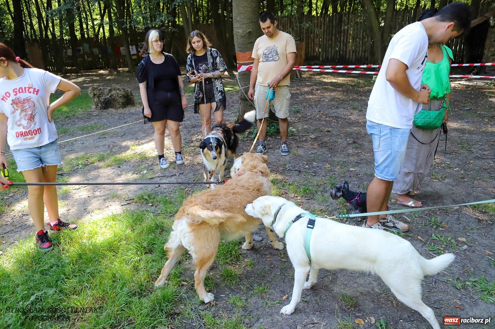 Zdjęcie w galerii na portalu naszraciborz.pl: Psi Gród. Miłośnicy czworonogów spotkali się w średniowiecznej scenerii wiadomości z regionu