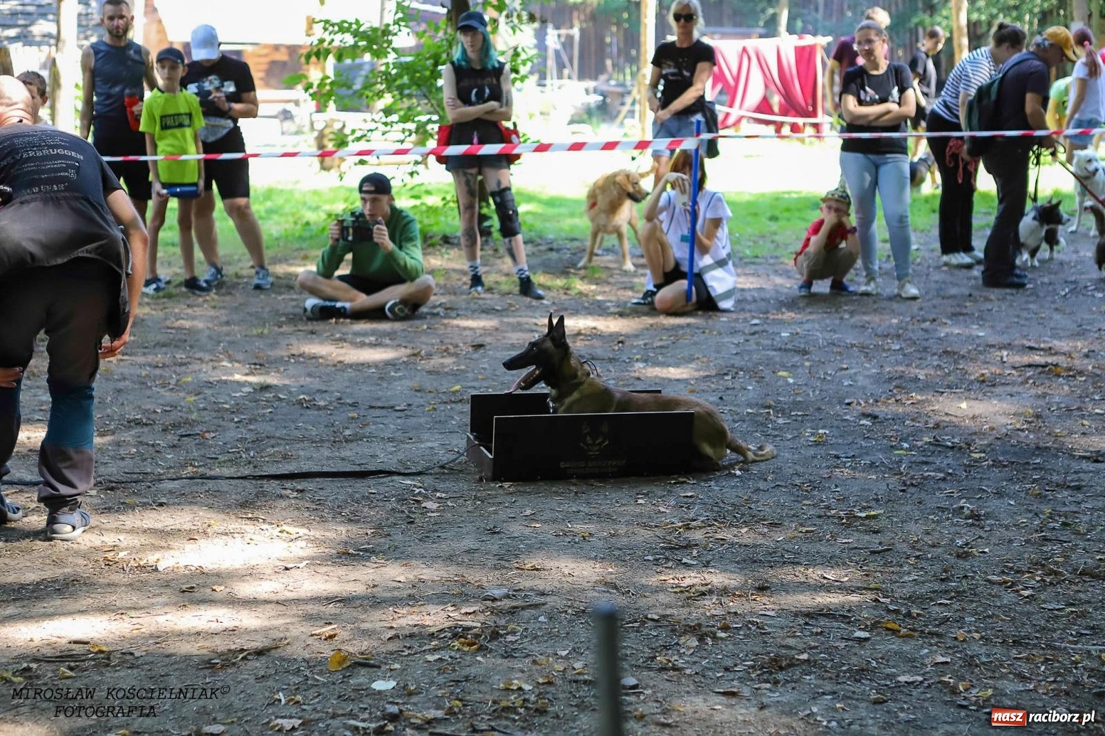Zdjęcie w galerii na portalu naszraciborz.pl: Psi Gród. Miłośnicy czworonogów spotkali się w średniowiecznej scenerii wiadomości z regionu