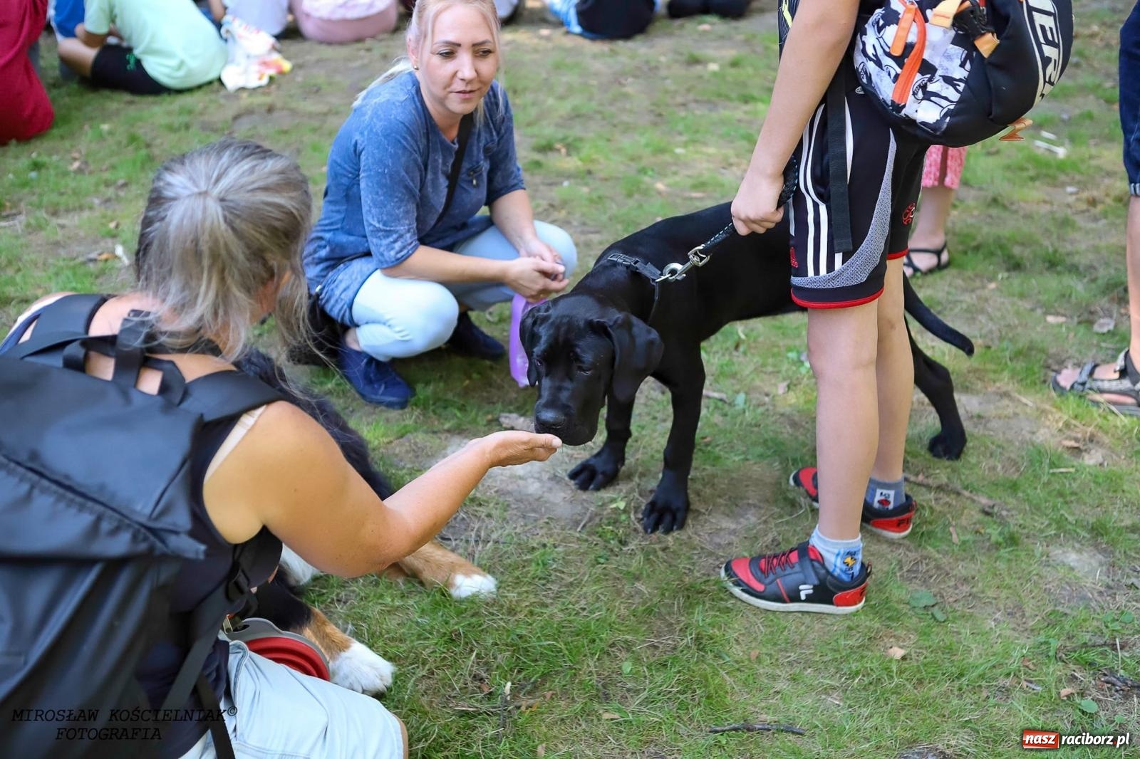 Zdjęcie w galerii na portalu naszraciborz.pl: Psi Gród. Miłośnicy czworonogów spotkali się w średniowiecznej scenerii wiadomości z regionu