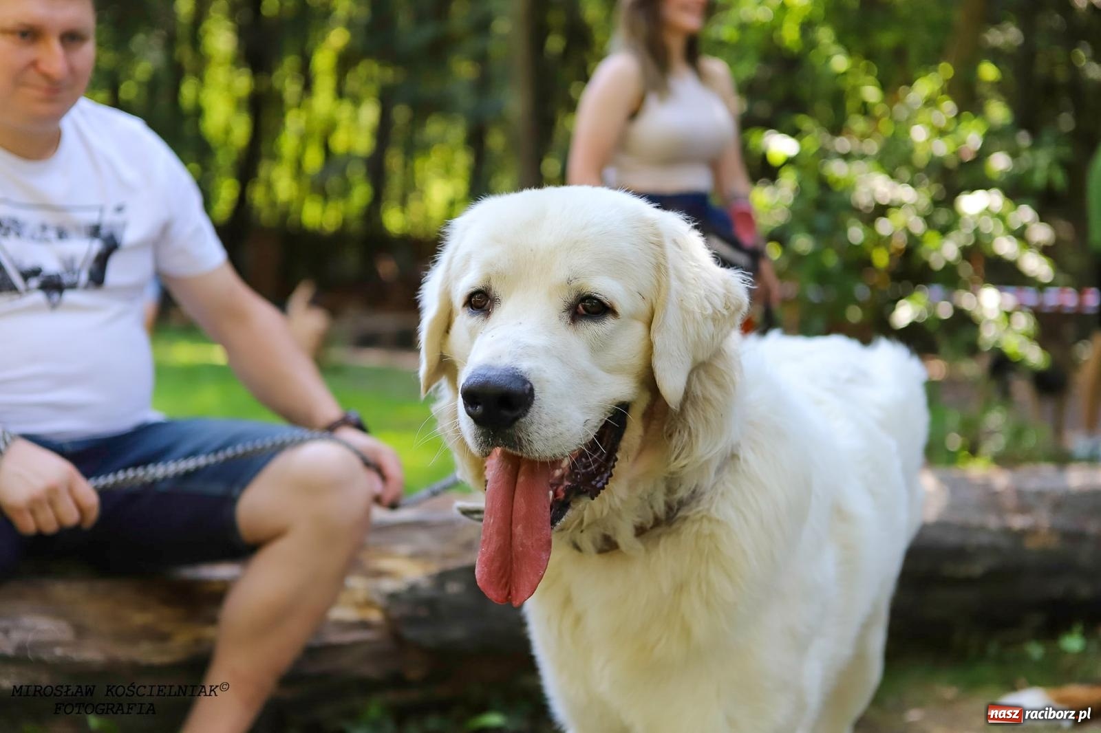 Zdjęcie w galerii na portalu naszraciborz.pl: Psi Gród. Miłośnicy czworonogów spotkali się w średniowiecznej scenerii wiadomości z regionu