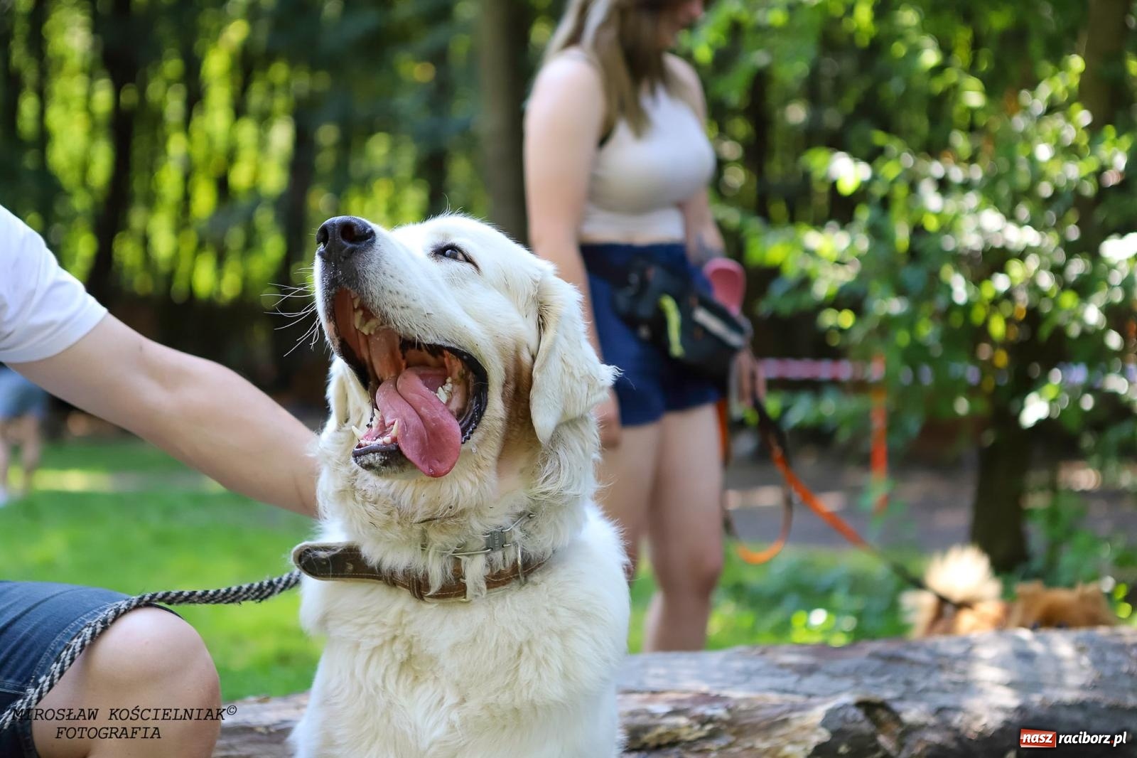 Zdjęcie w galerii na portalu naszraciborz.pl: Psi Gród. Miłośnicy czworonogów spotkali się w średniowiecznej scenerii wiadomości z regionu
