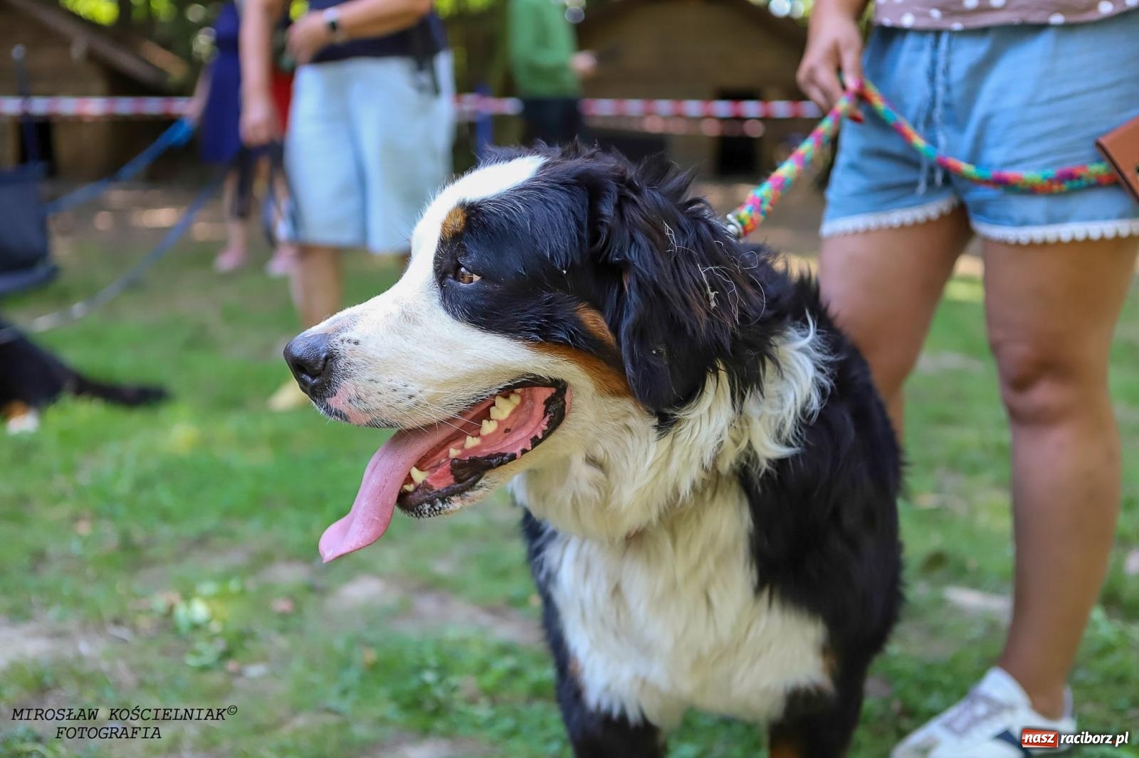 Zdjęcie w galerii na portalu naszraciborz.pl: Psi Gród. Miłośnicy czworonogów spotkali się w średniowiecznej scenerii wiadomości z regionu