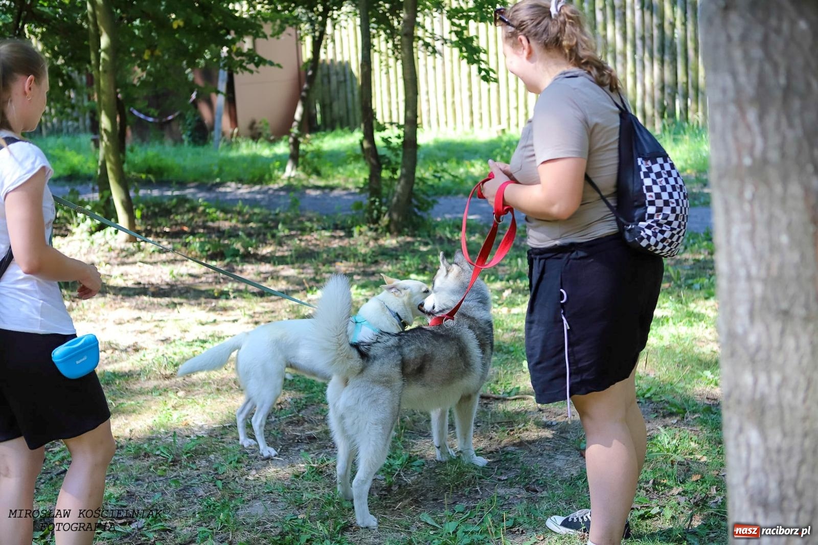 Zdjęcie w galerii na portalu naszraciborz.pl: Psi Gród. Miłośnicy czworonogów spotkali się w średniowiecznej scenerii wiadomości z regionu