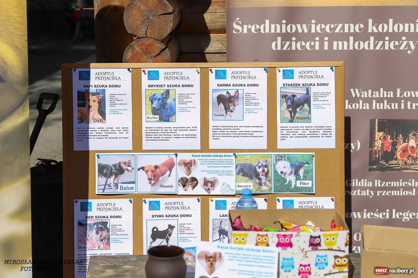 Zdjęcie w galerii na portalu naszraciborz.pl: Psi Gród. Miłośnicy czworonogów spotkali się w średniowiecznej scenerii wiadomości z regionu