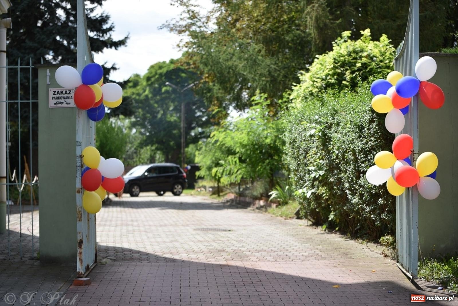 Zdjęcie w galerii na portalu naszraciborz.pl: TOGETHER. Polsko-ukraiński piknik integracyjny w ogrodzie Strzechy wiadomości z regionu