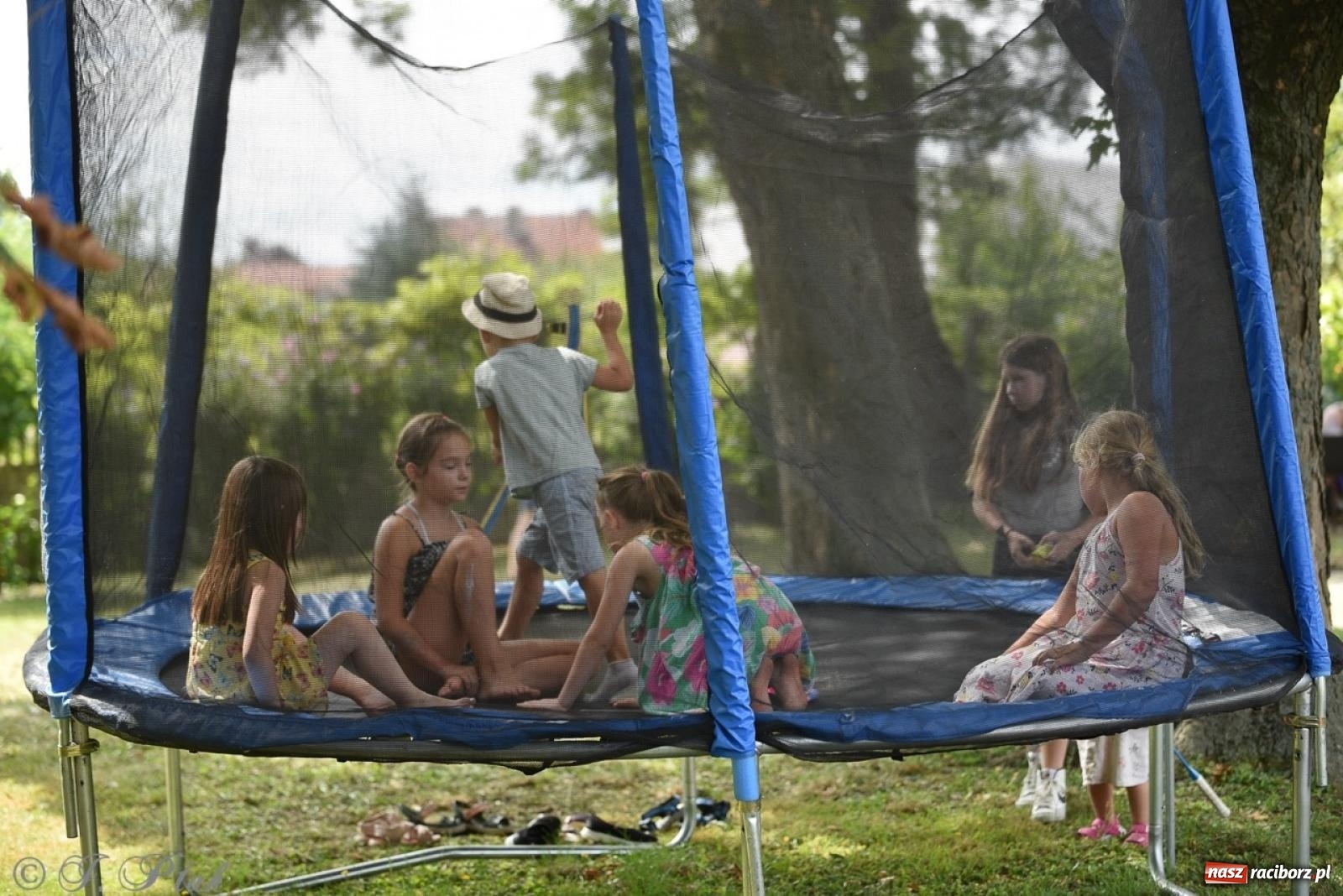 Zdjęcie w galerii na portalu naszraciborz.pl: TOGETHER. Polsko-ukraiński piknik integracyjny w ogrodzie Strzechy wiadomości z regionu