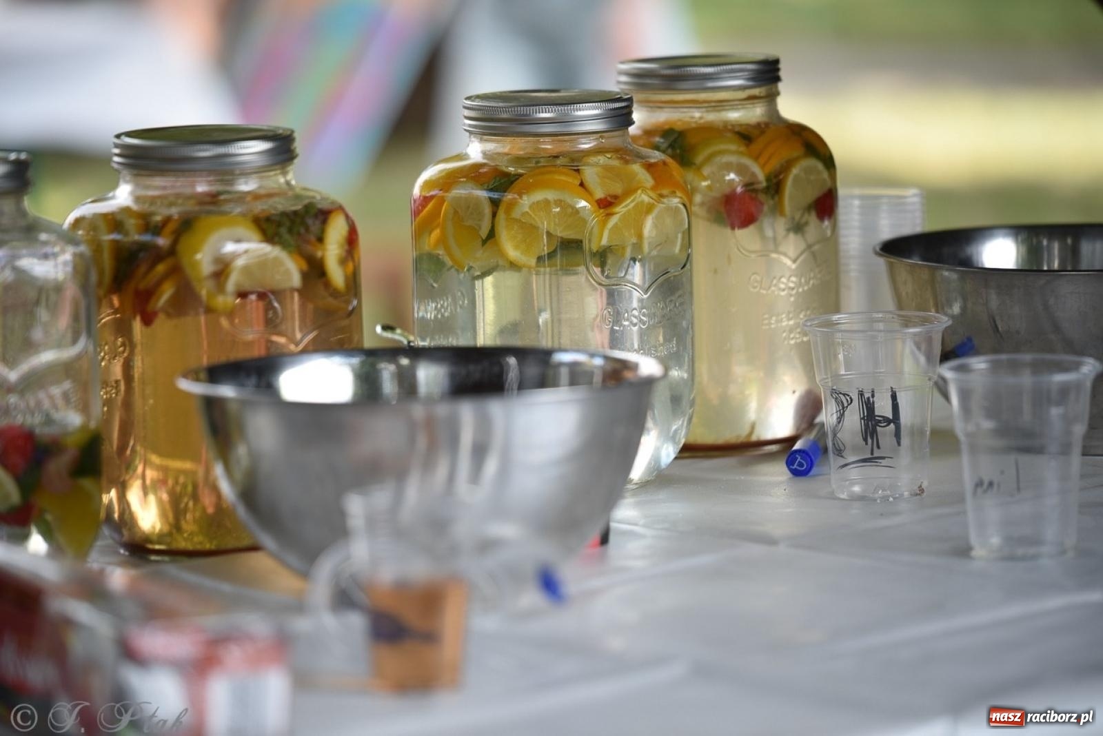 Zdjęcie w galerii na portalu naszraciborz.pl: TOGETHER. Polsko-ukraiński piknik integracyjny w ogrodzie Strzechy wiadomości z regionu