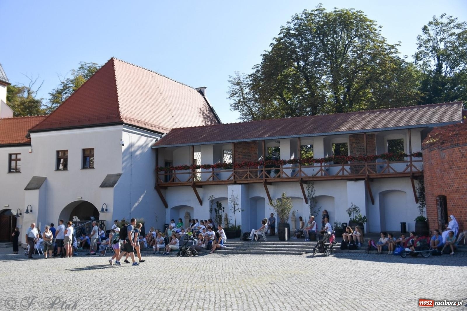 Zdjęcie w galerii na portalu naszraciborz.pl: Bracia i siostry w drodze. 48. Opolska Piesza Pielgrzymka na Jasną Górę wyruszyła z Raciborza [FOTO i WIDEO] wiadomości z regionu