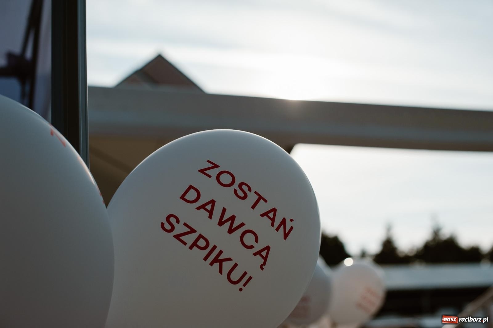 Zdjęcie w galerii na portalu naszraciborz.pl: Piana Party w Pietrowicach Wielkich dostarczyło radości dzieciom [FOTO] wiadomości z regionu