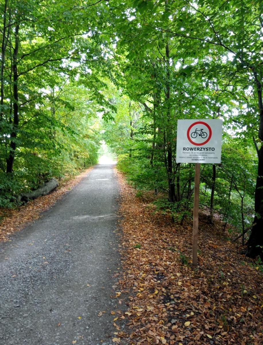 Zdjęcie w galerii na portalu naszraciborz.pl: Rowerem przez rezerwaty: RDOŚ wyjaśnia zasady, np. na Łężczoku wiadomości z regionu