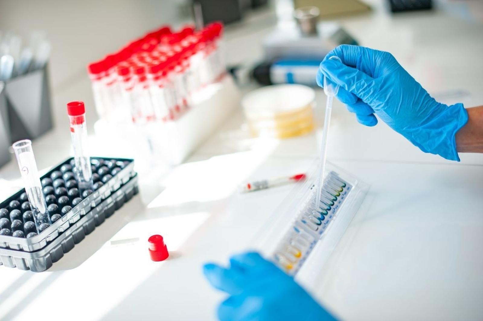 Zdjęcie w galerii na portalu naszraciborz.pl: Zbadaj się w Diagnostyce wiadomości z regionu