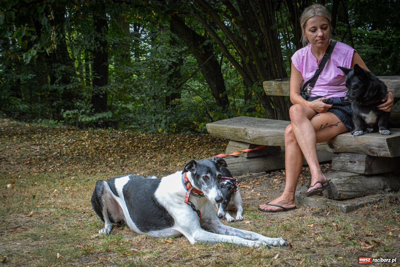 Zdjęcie w galerii na portalu naszraciborz.pl: SABINA & THEO LOOP ACT. Akustycznie w Arboretum Bramy Morawskiej wiadomości z regionu