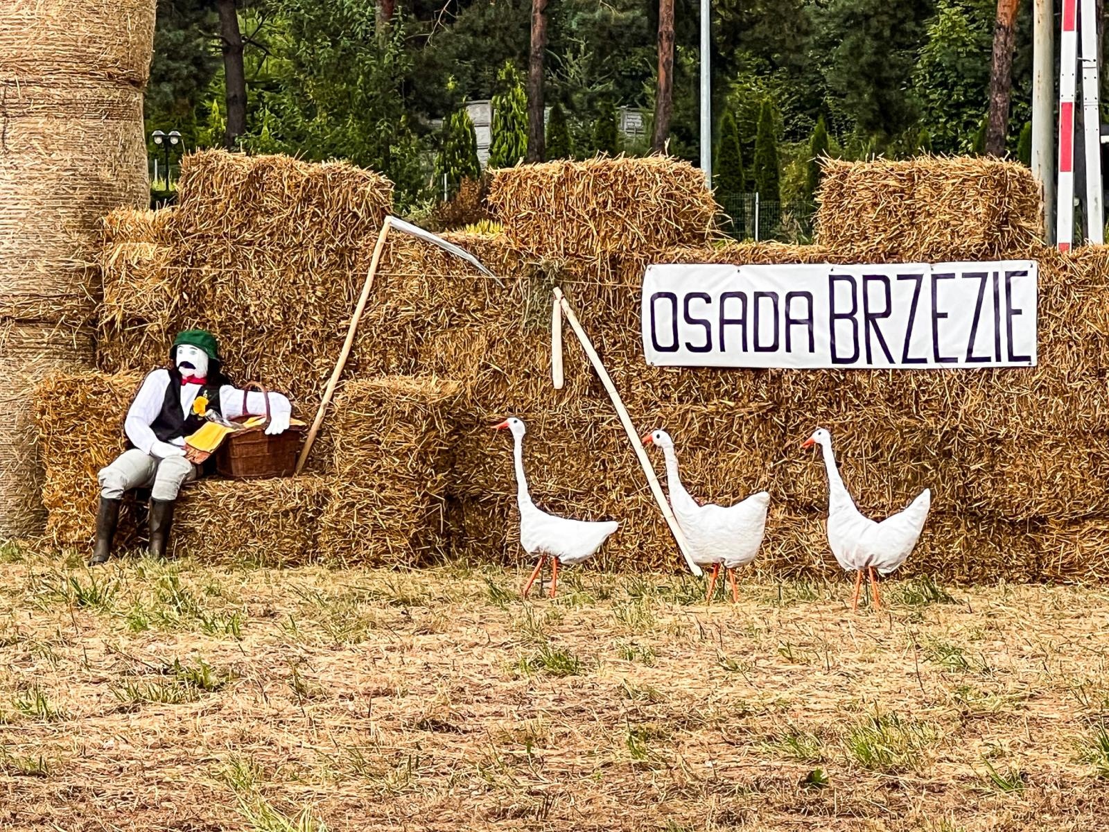 Zdjęcie w galerii na portalu naszraciborz.pl: Osada Brzezie ustawiła na wjeździe do Raciborza witacz wiadomości z regionu