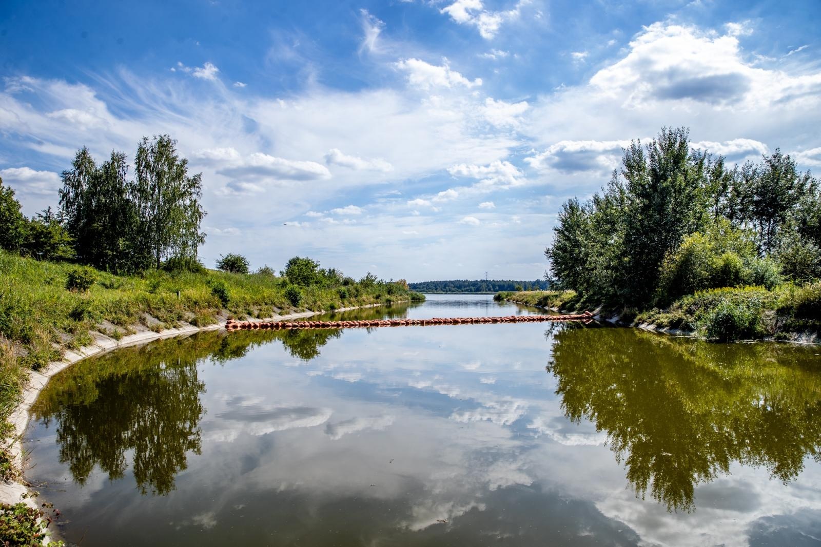 Zdjęcie w galerii na portalu naszraciborz.pl: Złota alga zagraża Odrze i śląskim zbiornikom. Wojewoda zwołał sztab, naukowcy raportują sukces wiadomości z regionu