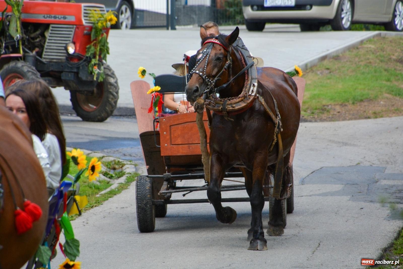Zdjęcie w galerii na portalu naszraciborz.pl: Dożynki w Łańcach - pierwsze w powiecie raciborskim [FOTO i WIDEO] wiadomości z regionu