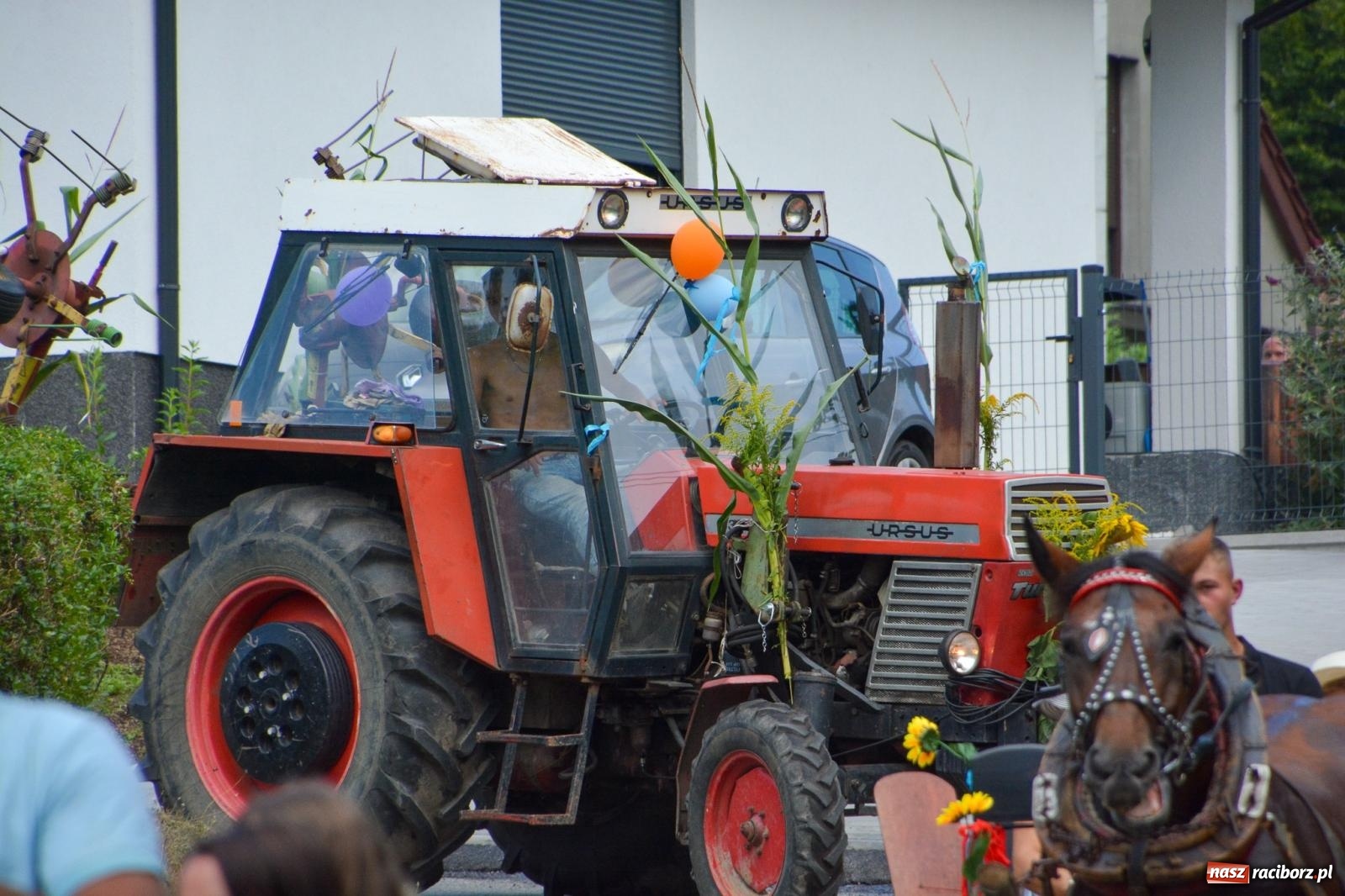 Zdjęcie w galerii na portalu naszraciborz.pl: Dożynki w Łańcach - pierwsze w powiecie raciborskim [FOTO i WIDEO] wiadomości z regionu