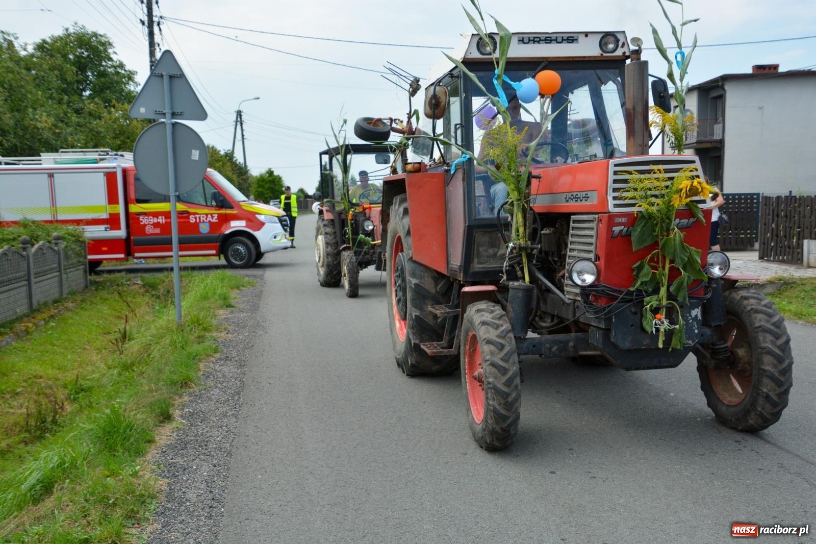 Zdjęcie w galerii na portalu naszraciborz.pl: Dożynki w Łańcach - pierwsze w powiecie raciborskim [FOTO i WIDEO] wiadomości z regionu