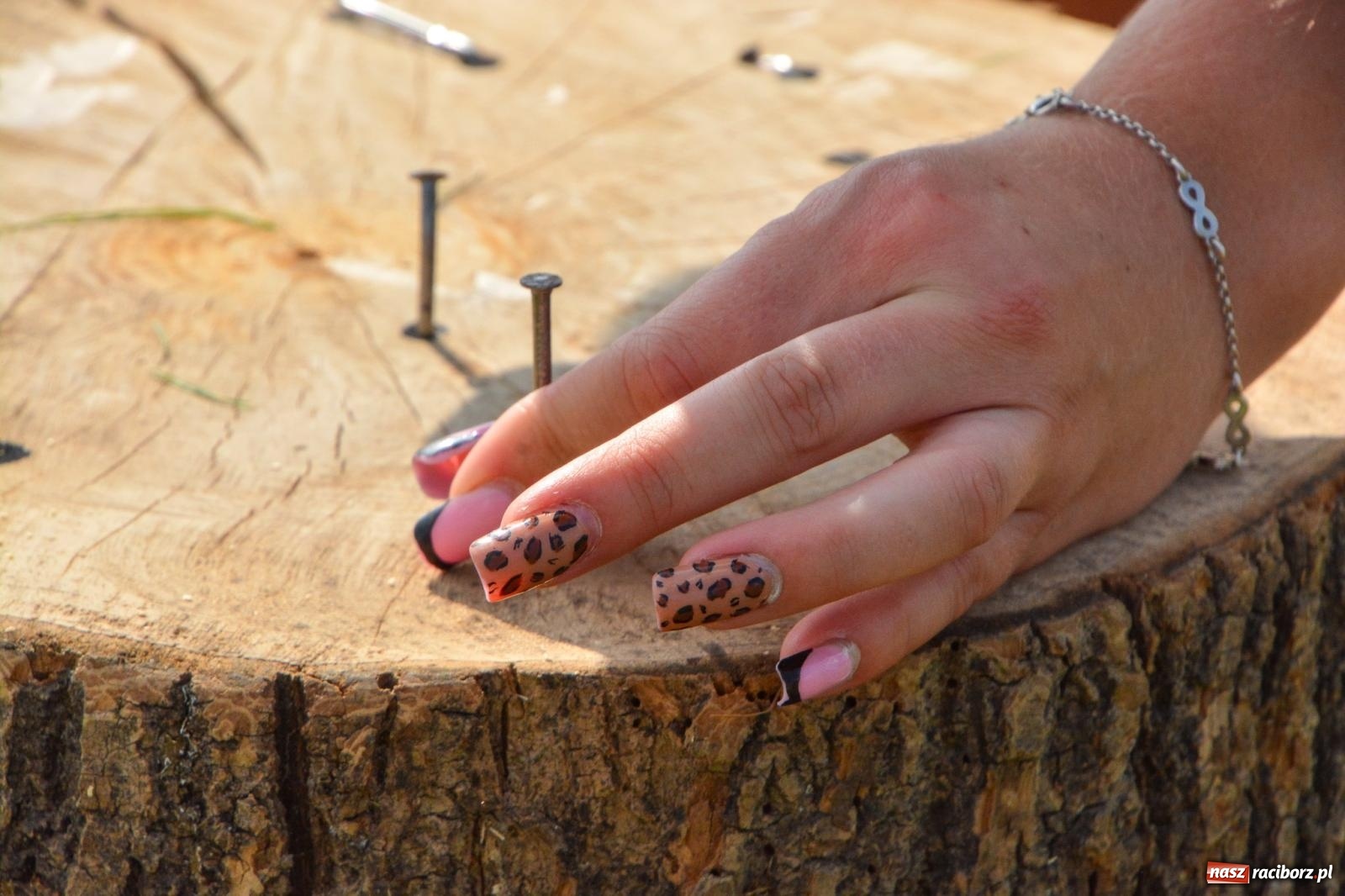 Zdjęcie w galerii na portalu naszraciborz.pl: Turniej sołectw na finał Bamberparty 2024 [FOTO i WIDEO] wiadomości z regionu