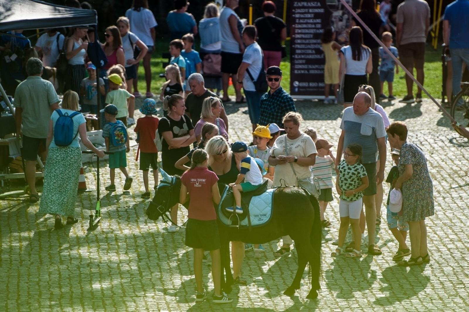Zdjęcie w galerii na portalu naszraciborz.pl: Wielki finał Wakacji w siodle na Zamku Piastowskim. Tłumy na dziedzińcu [FOTO i WIDEO] wiadomości z regionu