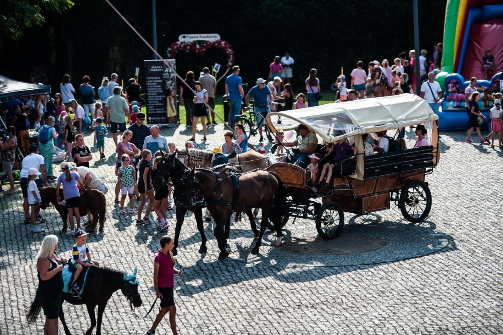 Zdjęcie w galerii na portalu naszraciborz.pl: Wielki finał Wakacji w siodle na Zamku Piastowskim. Tłumy na dziedzińcu [FOTO i WIDEO] wiadomości z regionu