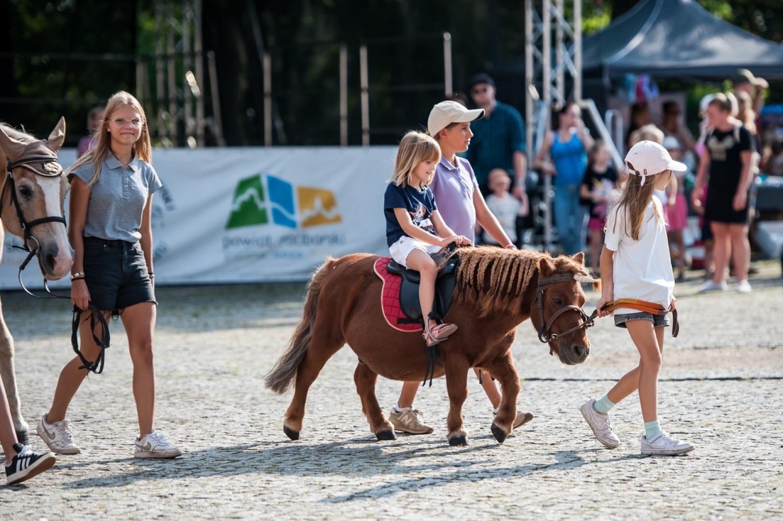 Zdjęcie w galerii na portalu naszraciborz.pl: Wielki finał Wakacji w siodle na Zamku Piastowskim. Tłumy na dziedzińcu [FOTO i WIDEO] wiadomości z regionu