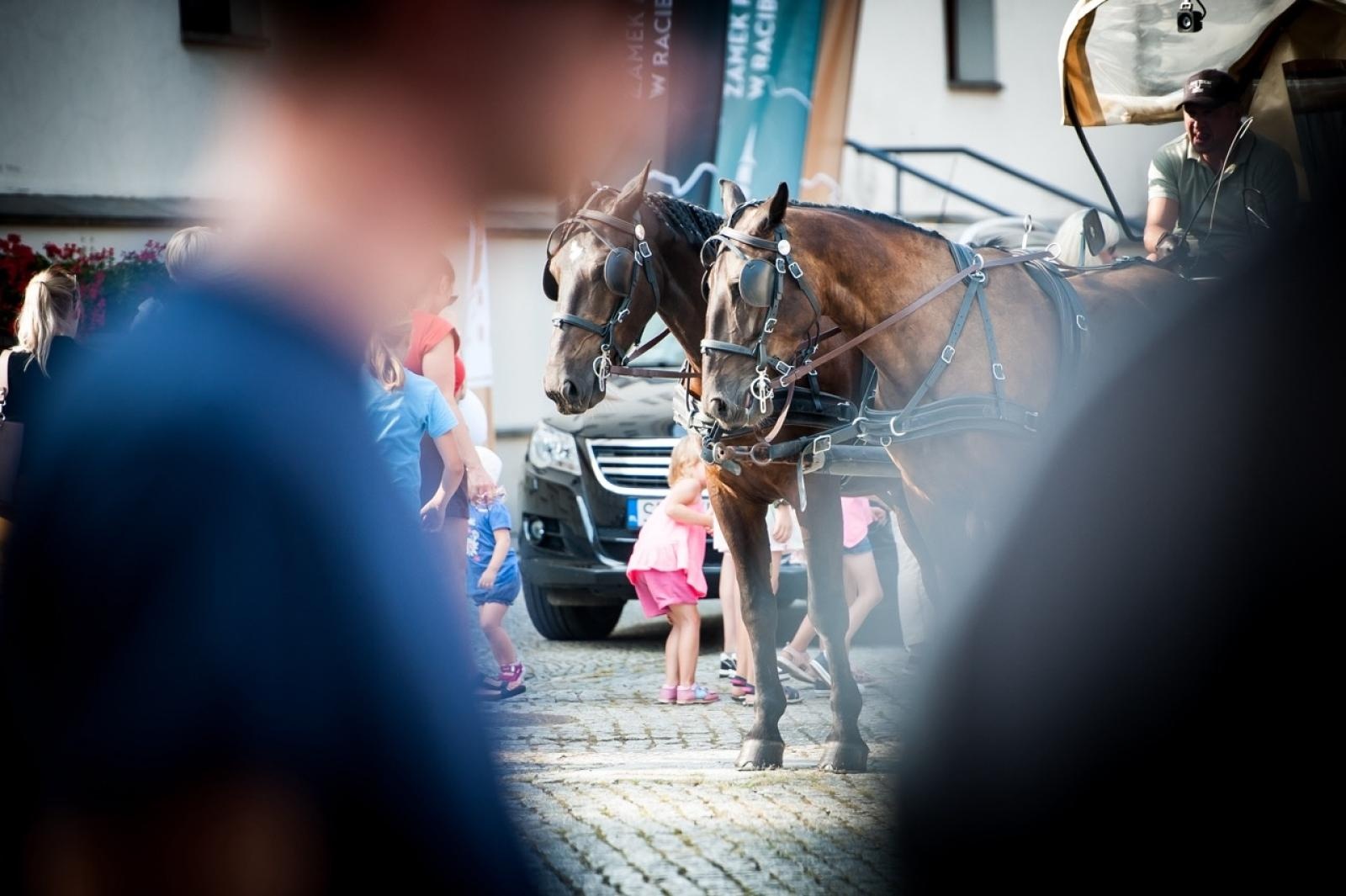 Zdjęcie w galerii na portalu naszraciborz.pl: Wielki finał Wakacji w siodle na Zamku Piastowskim. Tłumy na dziedzińcu [FOTO i WIDEO] wiadomości z regionu